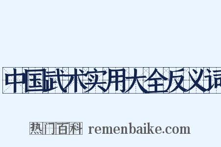 中国武术实用大全反义词是什么意思的图片